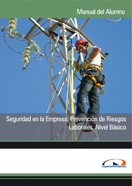 Manual con CD Seguridad en la Empresa: Prevención de Riesgos Laborales. Nivel Básico 