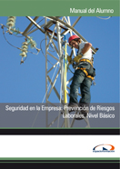 Semipack Seguridad en la Empresa: Prevención de Riesgos Laborales. Nivel Básico 