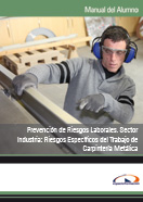 SEMIPACK PREVENCIÓN DE RIESGOS LABORALES. SECTOR INDUSTRIA: RIESGOS ESPECÍFICOS DEL TRABAJO DE CARPINTERÍA METÁLICA